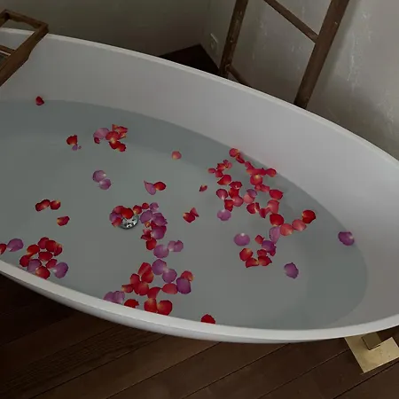 Ned Luxury Penthouse Štýrský Hradec
