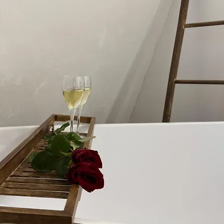 Ned Luxury Penthouse Aparthotel Štýrský Hradec
